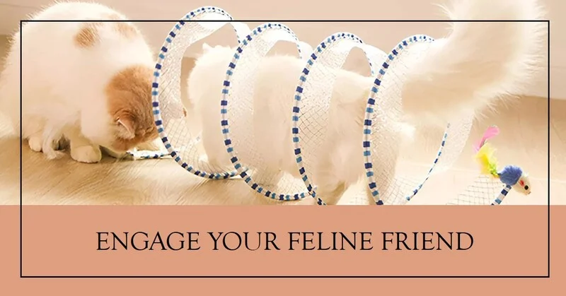 Folding Cat Tunnel