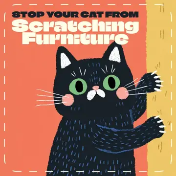 cat scratch solution