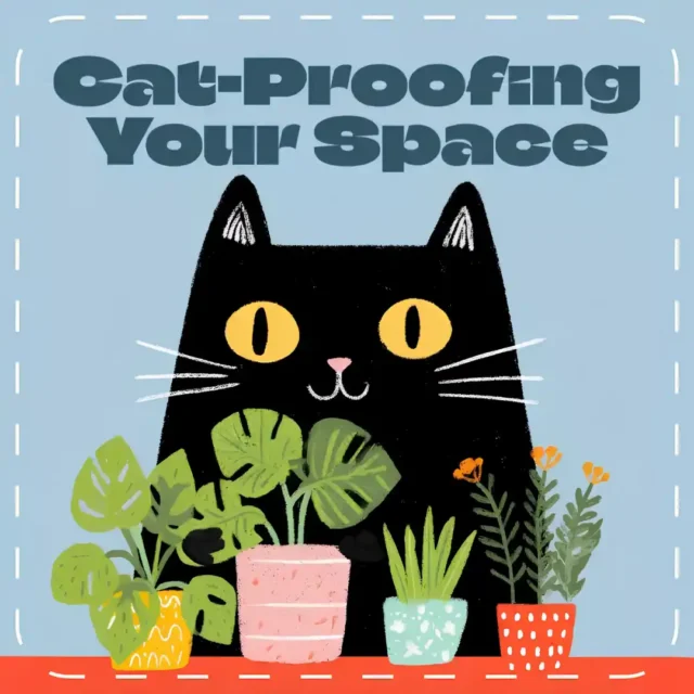 A Practical Guide to Cat-Proofing Your Space