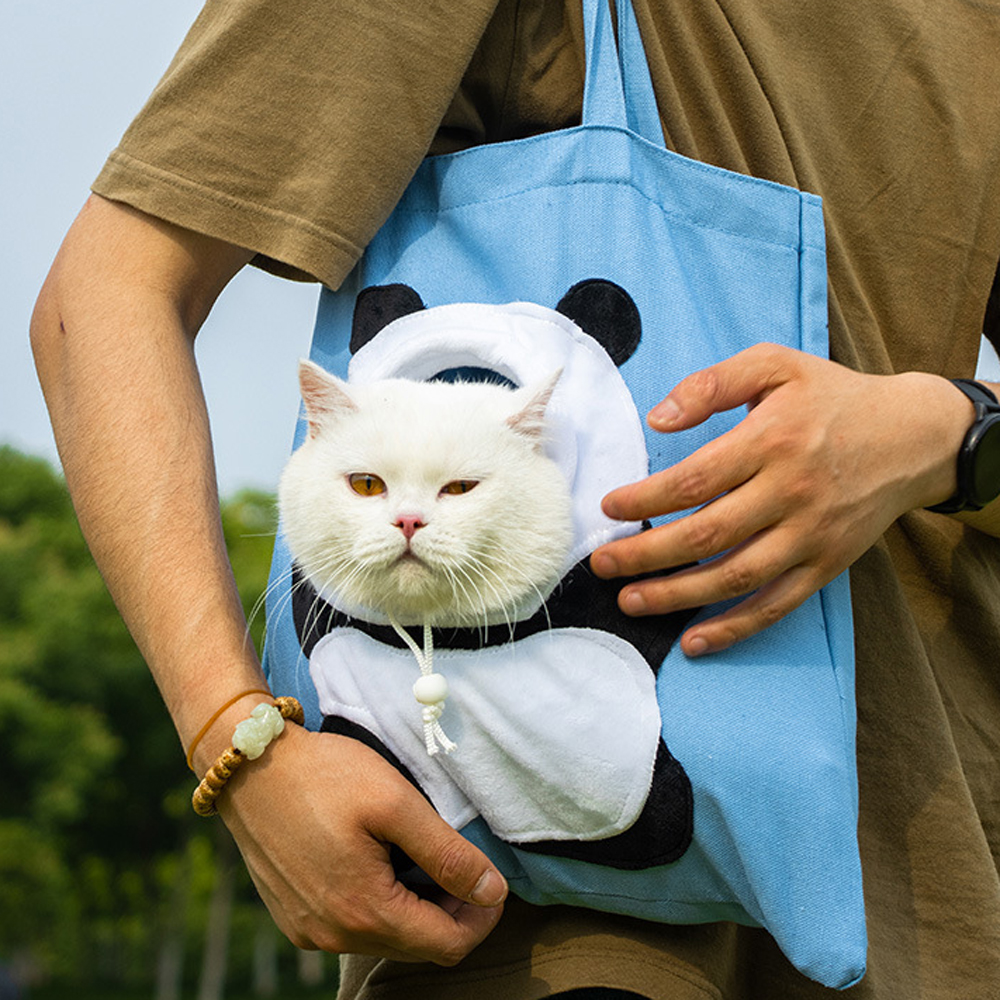 New Kitten’s First Week Checklist: Calm Care Day by Day