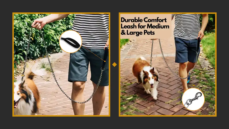 Chrome-Plated Heavy Duty Dog Leash