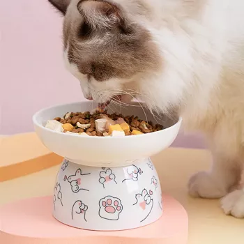 03146586fcfe58149bf58f1384631dc6.webp-350x350.webp